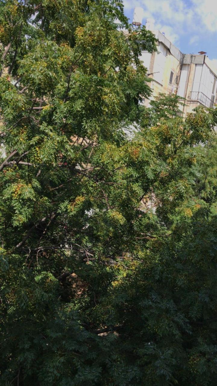 Isramax Apartment Near The Beach. Bat Yam Exterior foto